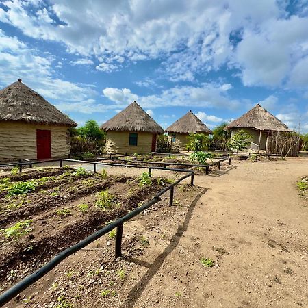 Maasai Eco Boma & Lodge - Experience Maasai Culture Makuyuni Zewnętrze zdjęcie