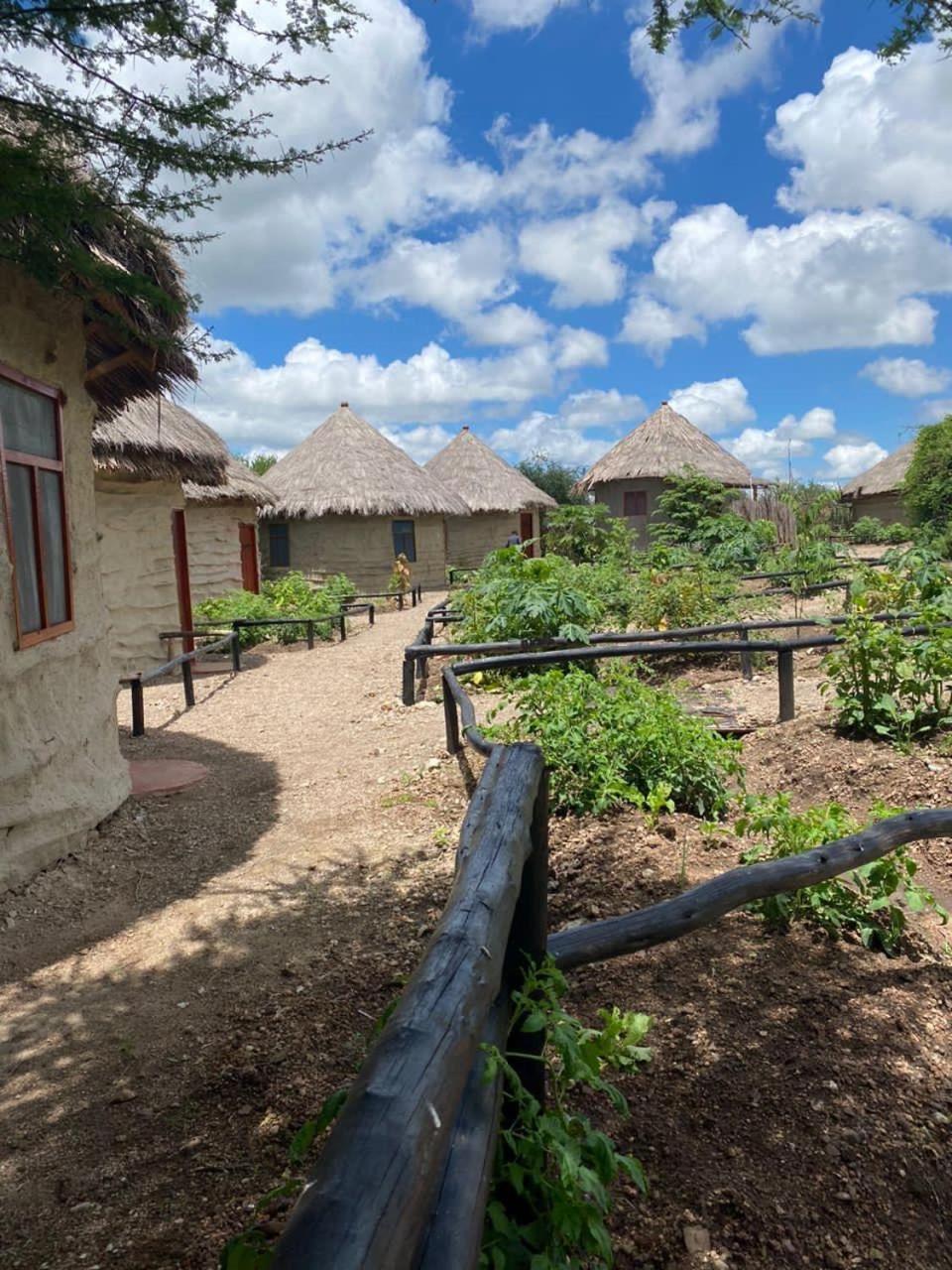 Maasai Eco Boma & Lodge - Experience Maasai Culture Makuyuni Zewnętrze zdjęcie