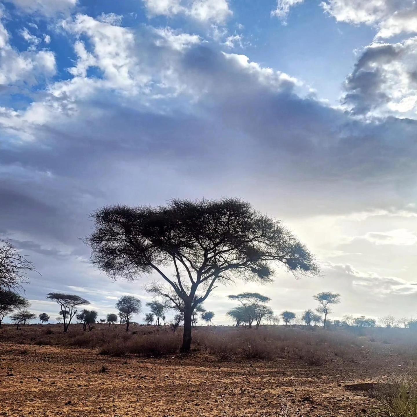 Maasai Eco Boma & Lodge - Experience Maasai Culture Makuyuni Zewnętrze zdjęcie